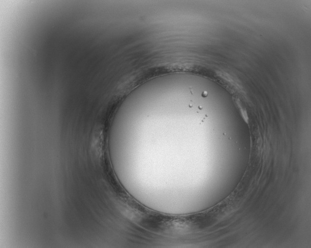 X0000069390498200605262120