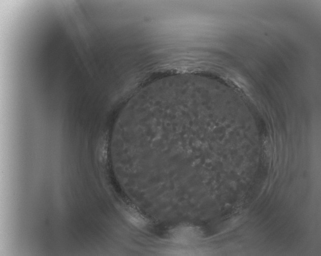 X0000069390499200605262120