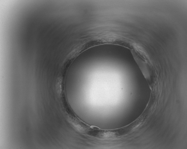 X0000069390501200605262120