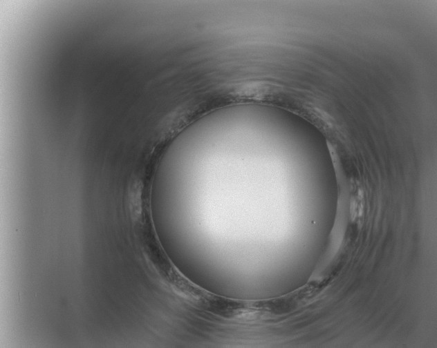 X0000069390504200605262120