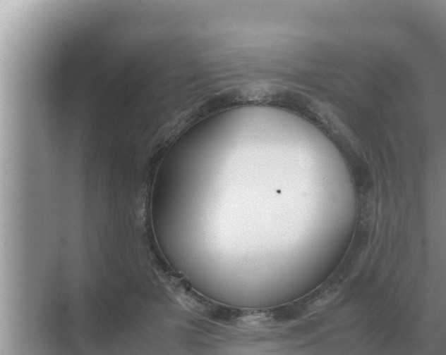 X0000069390505200605262120