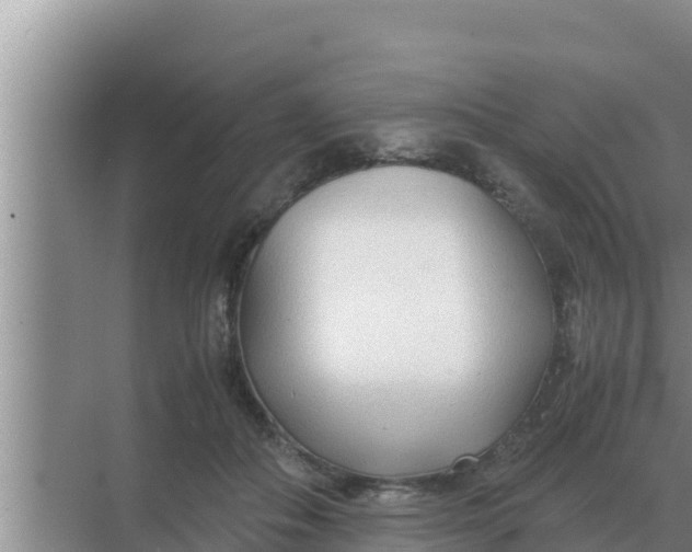 X0000069390506200605262120