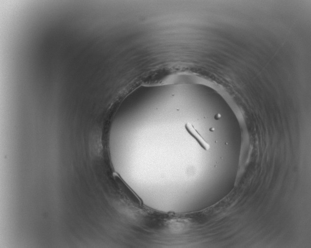 X0000069390508200605262120