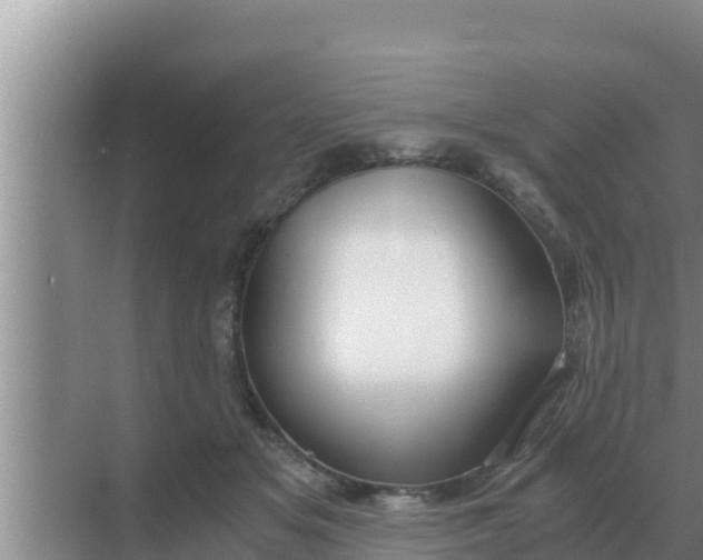 X0000069390509200605262120