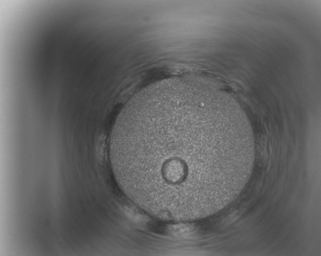 X0000069390511200605262120