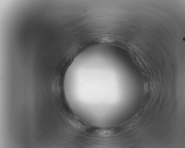 X0000069390512200605262120