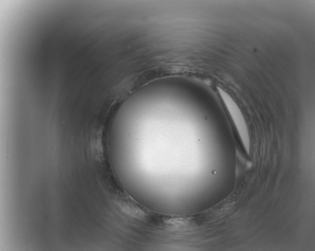 X0000069390516200605262120