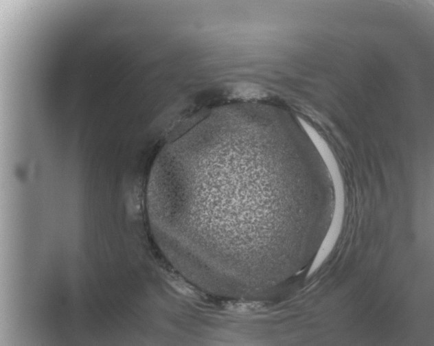 X0000069390517200605262120