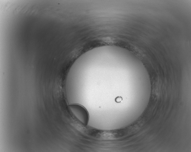 X0000069390518200605262120