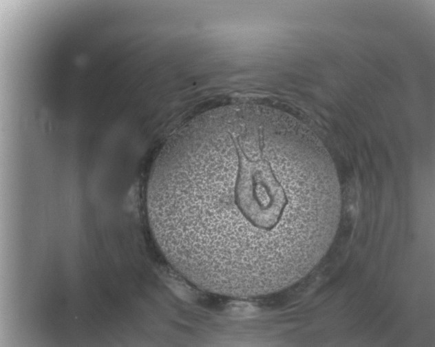 X0000069390519200605262120