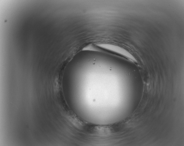 X0000069390520200605262120