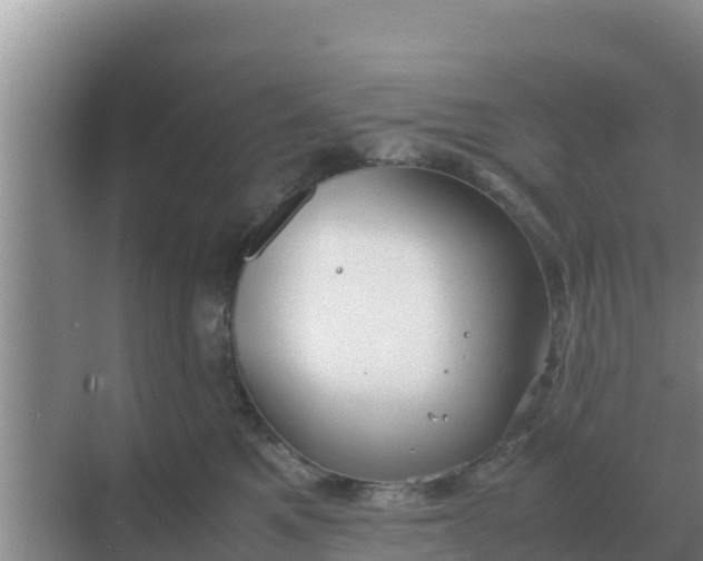 X0000069390521200605262120