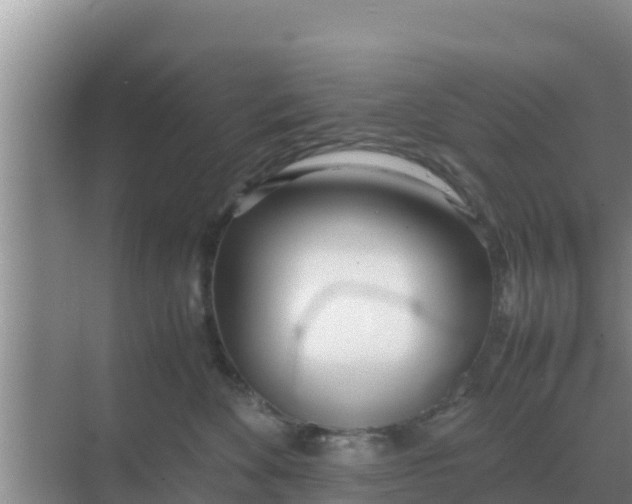 X0000069390524200605262120