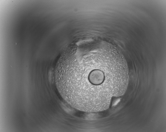 X0000069390527200605262120