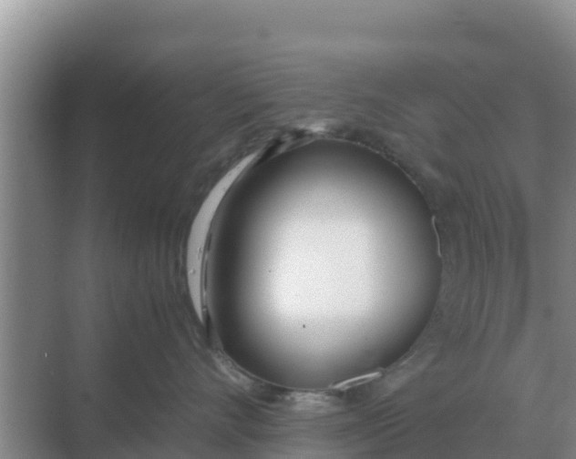 X0000069390528200605262119