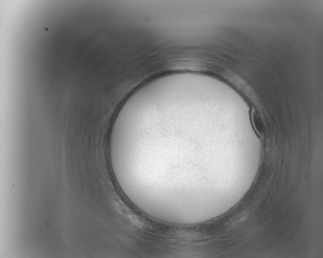 X0000069390529200605262119