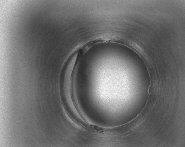 X0000069390530200605262119