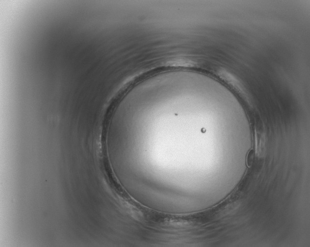 X0000069390531200605262119