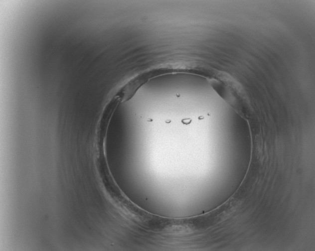 X0000069390536200605262119