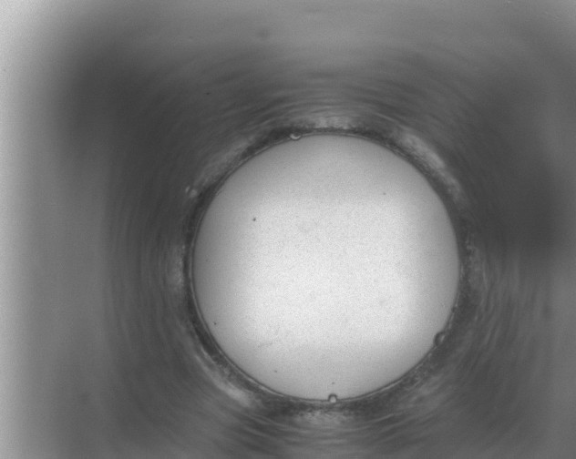 X0000069390537200605262119