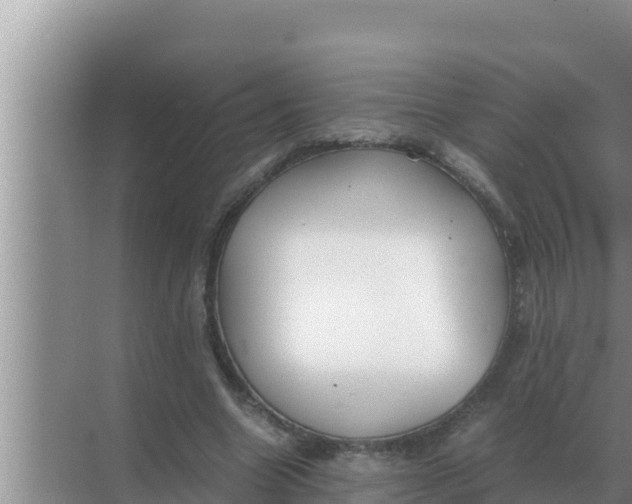 X0000069390538200605262119