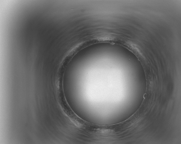 X0000069390539200605262119