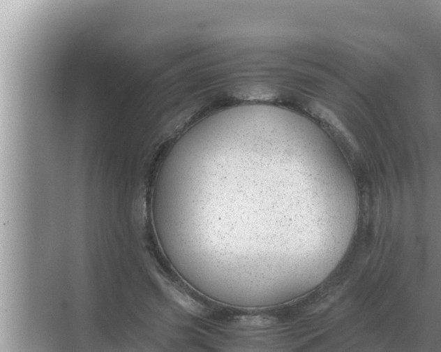 X0000069390541200605262119