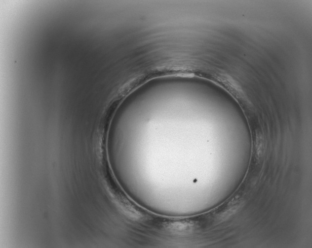 X0000069390542200605262119