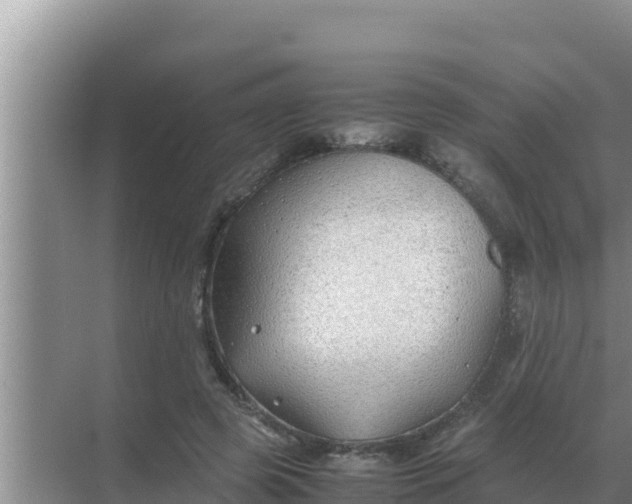 X0000069390545200605262119