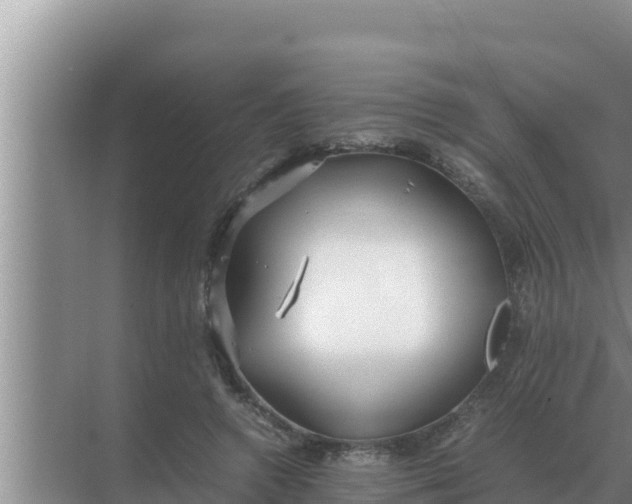 X0000069390546200605262119