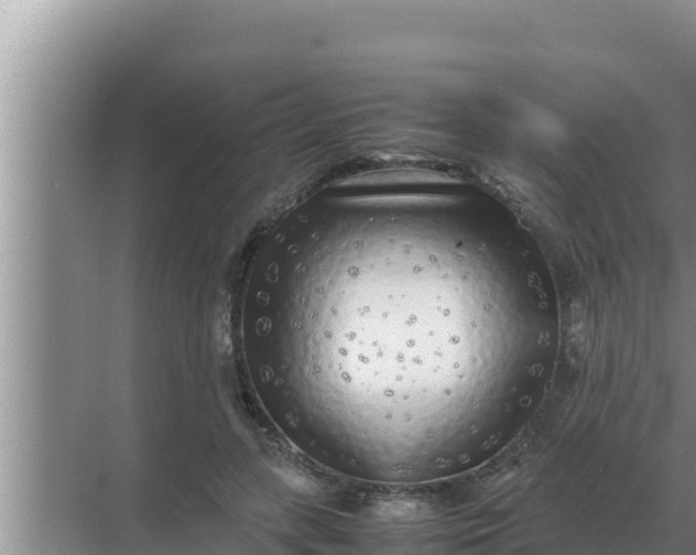 X0000069390547200605262119