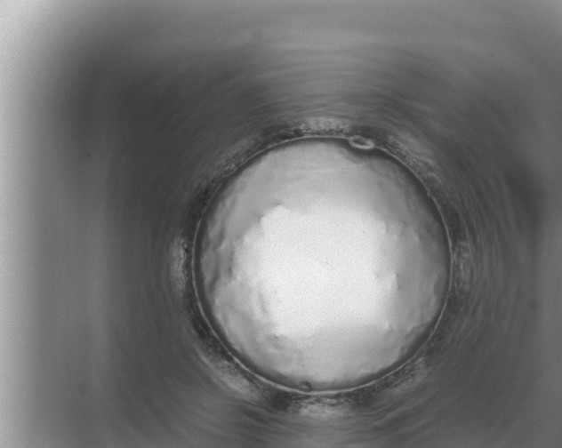 X0000069390550200605262119