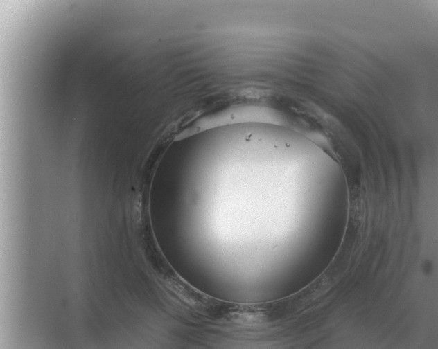 X0000069390552200605262119