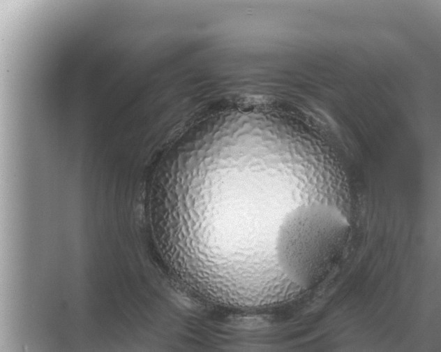 X0000069390553200605262119