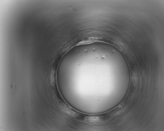 X0000069390554200605262119