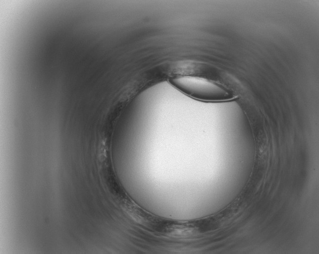 X0000069390555200605262119