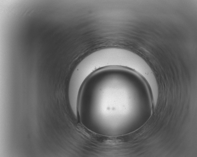 X0000069390556200605262119