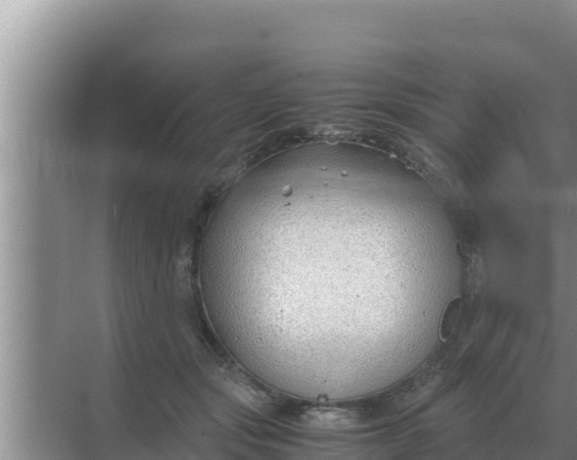 X0000069390557200605262119