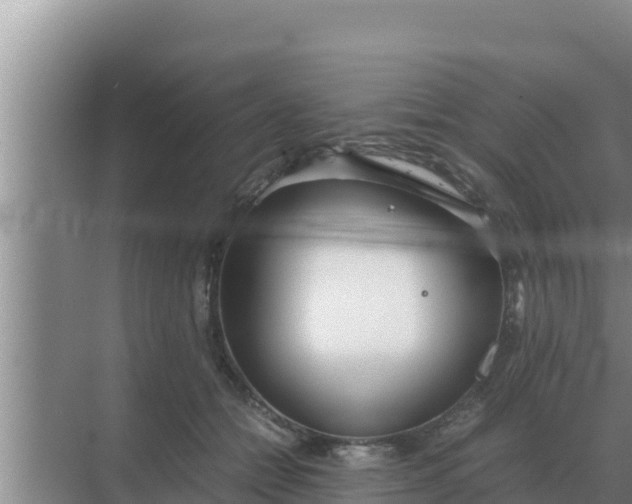 X0000069390558200605262119