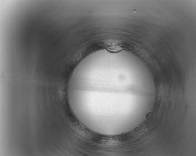 X0000069390559200605262119