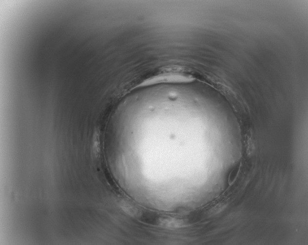 X0000069390561200605262119