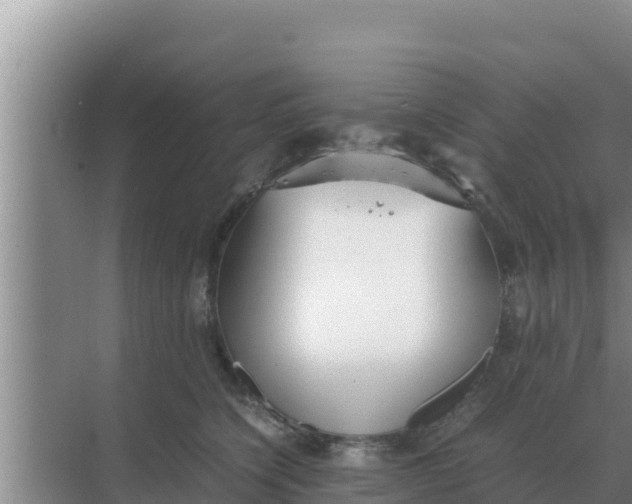 X0000069390564200605262119