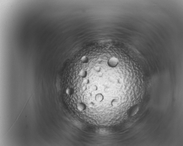 X0000069390565200605262119