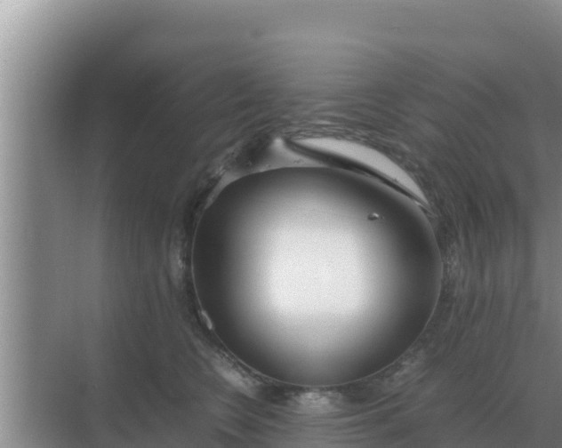 X0000069390566200605262119