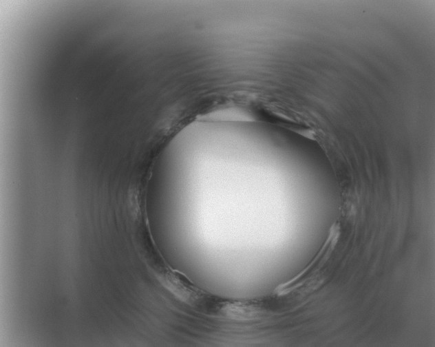 X0000069390568200605262119