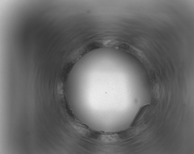 X0000069390571200605262119