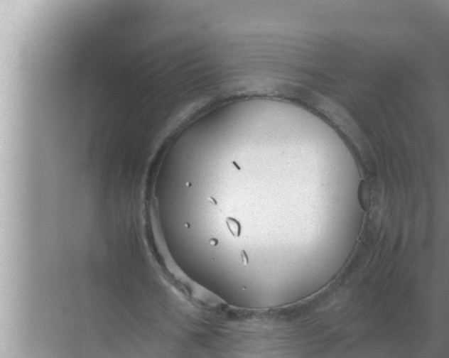 X0000069390578200605262119