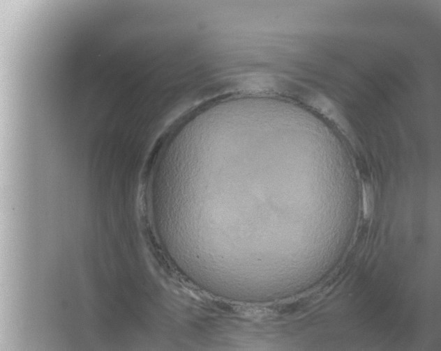 X0000069390579200605262119