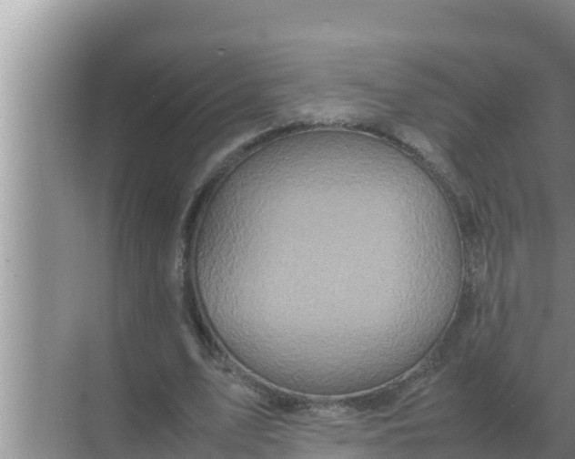 X0000069390583200605262119