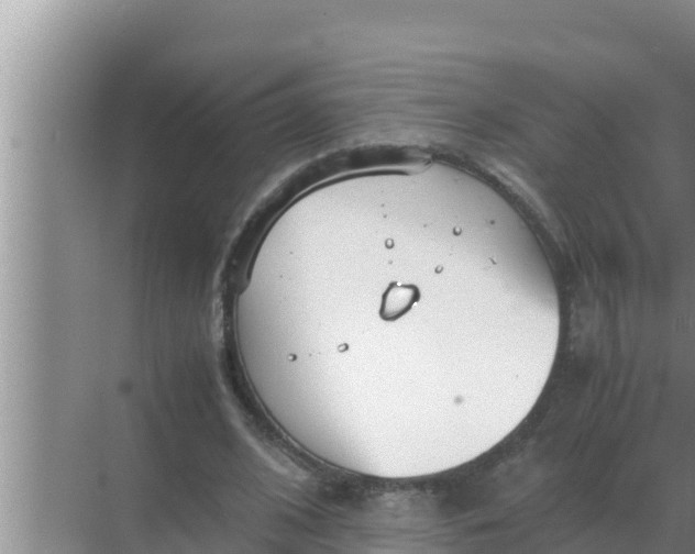 X0000069390584200605262119